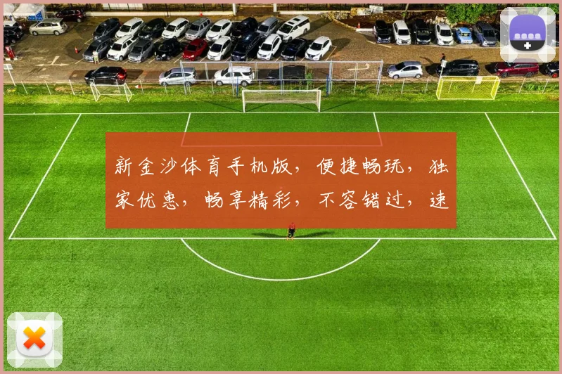新金沙体育手机版，便捷畅玩，独家优惠，畅享精彩，不容错过，速来体验