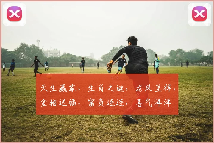 天生赢家，生肖之谜，龙凤呈祥，金猪送福，富贵连连，喜气洋洋
