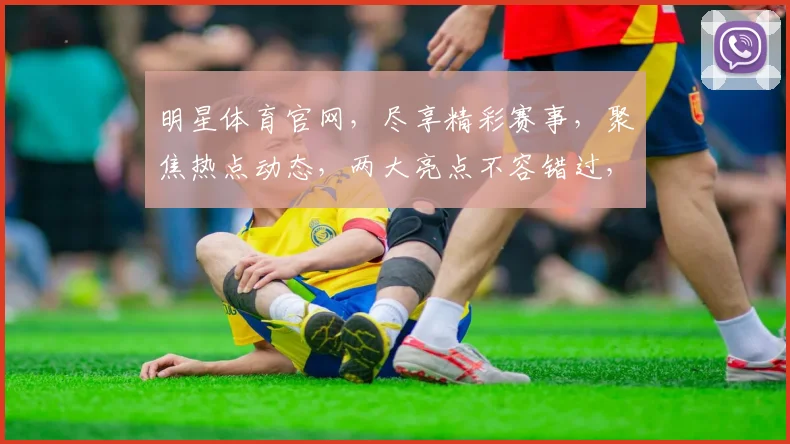 明星体育官网，尽享精彩赛事，聚焦热点动态，两大亮点不容错过，精彩不容错过