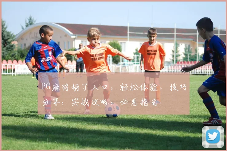 PG麻将胡了入口，轻松体验，技巧分享，实战攻略，必看指南